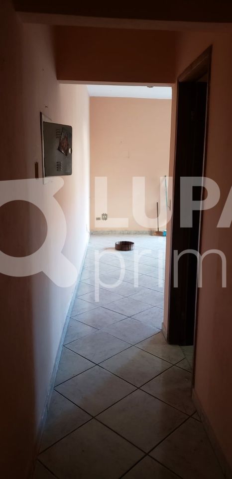 casa-terrea-venda-sao-paulo-vila-constanca-2dormitorios-2vagas-290m2-LS40892