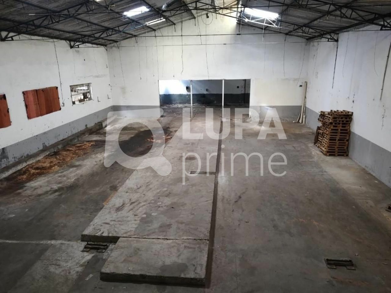 galpao-venda-sao-paulo-vila-brasilina-1000m2-LS41069