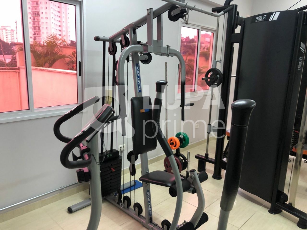 apartamento-venda-sao-paulo-parada-inglesa-2dormitorios-1suite-1vaga-56m2-LS41121