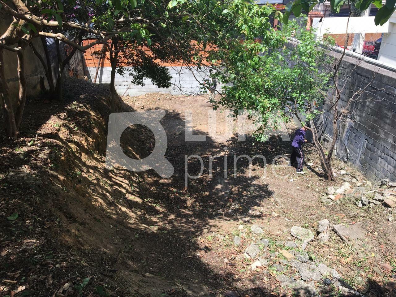 terreno-venda-sao-paulo-vila-guilherme-500m2-LS41135