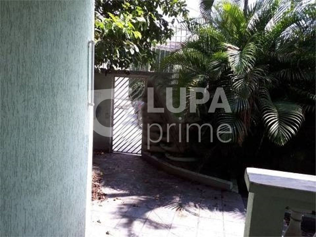 sobrado-locacao-sao-paulo-jardim-sao-paulo-4dormitorios-5vagas-350m2-LS41178
