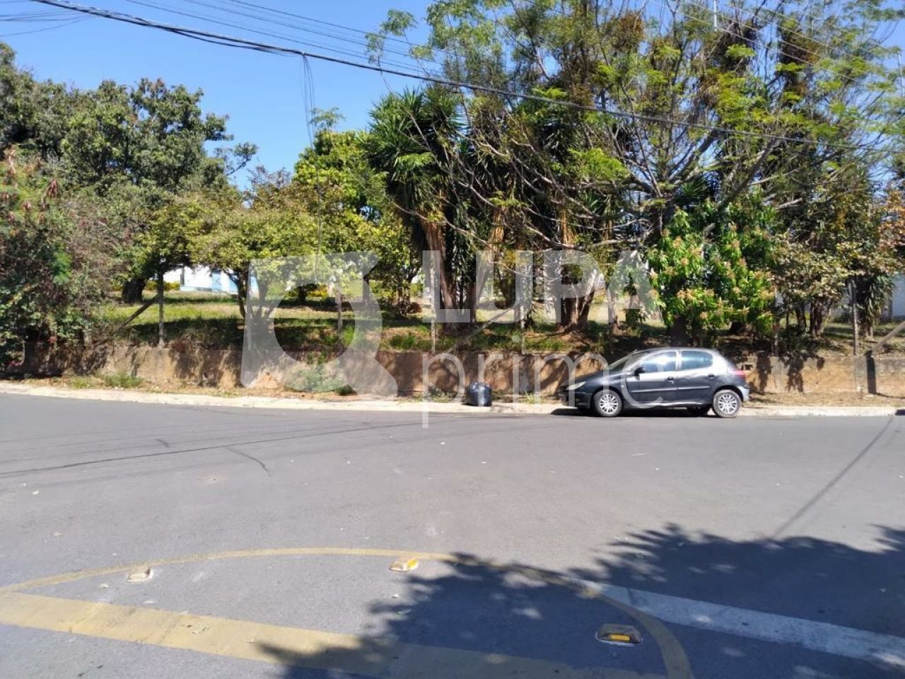 Terreno, 8000 m² - Foto 6