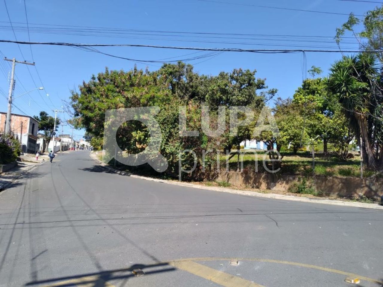 Terreno, 8000 m² - Foto 7