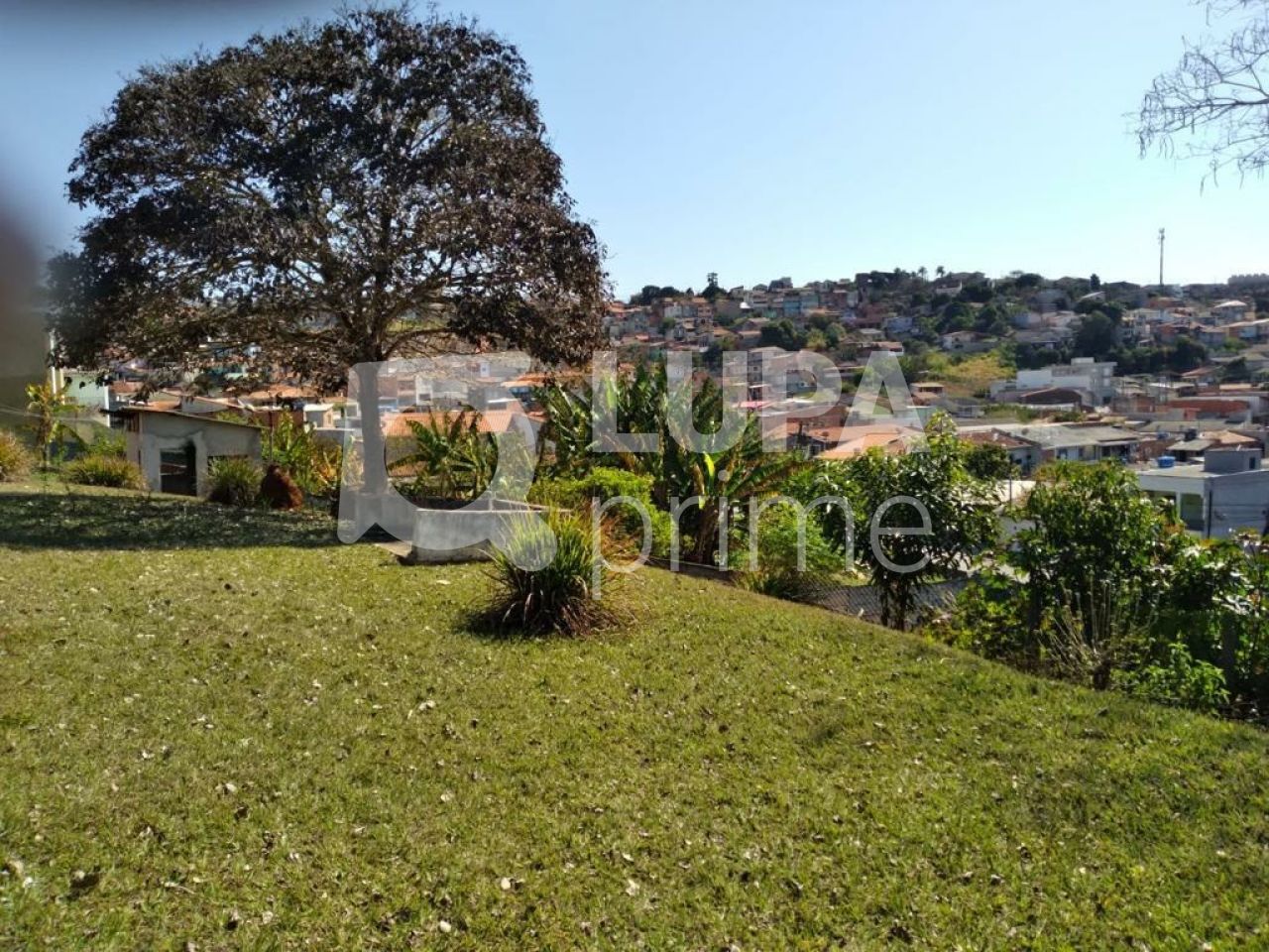 Terreno, 8000 m² - Foto 8