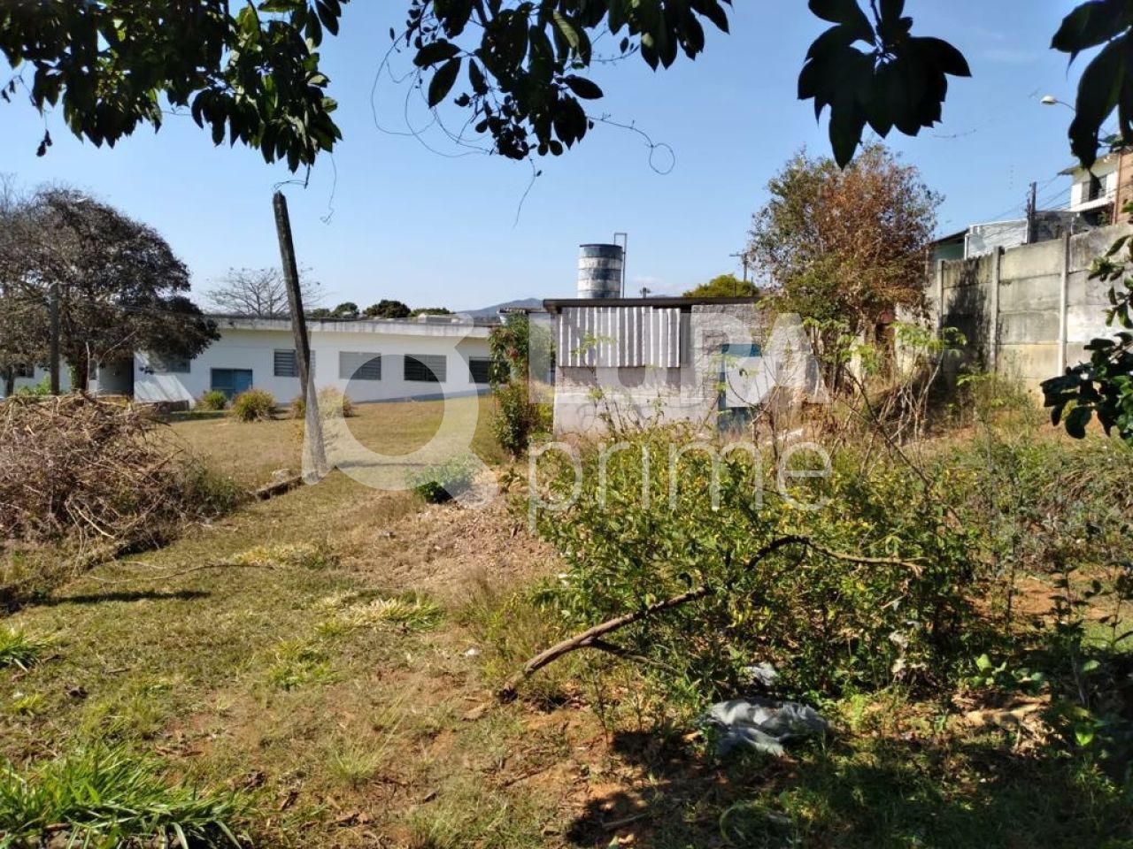 Terreno, 8000 m² - Foto 11