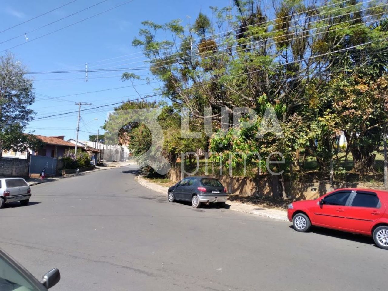 Terreno, 8000 m² - Foto 14