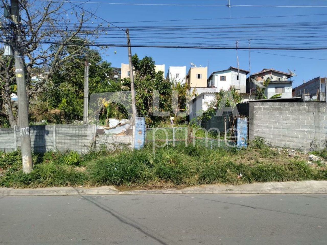 Terreno, 8000 m² - Foto 16