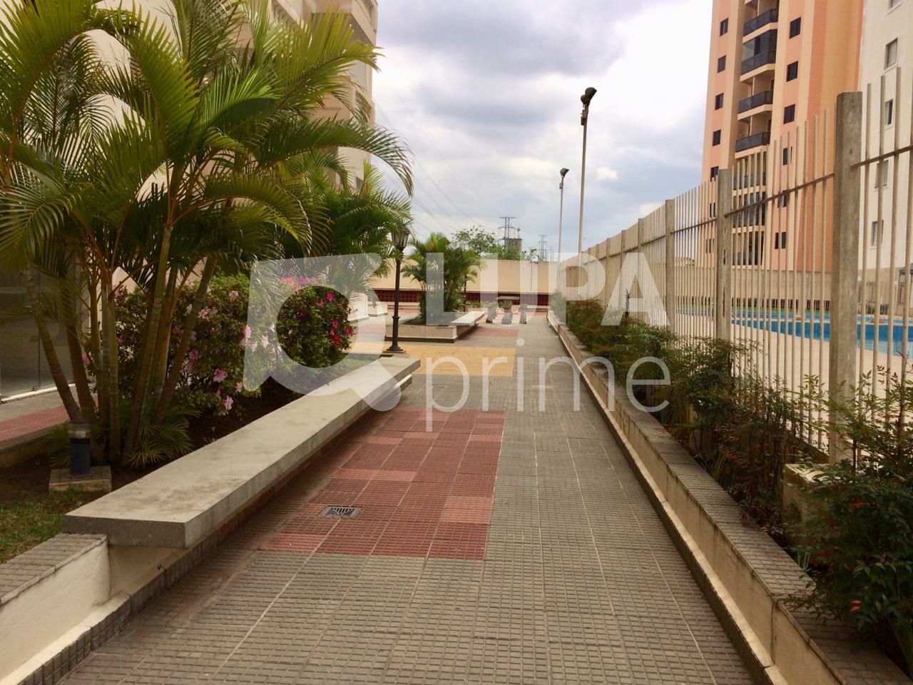 apartamento-venda-sao-paulo-vila-rica-4dormitorios-1suite-1vaga-105m2-LS41201