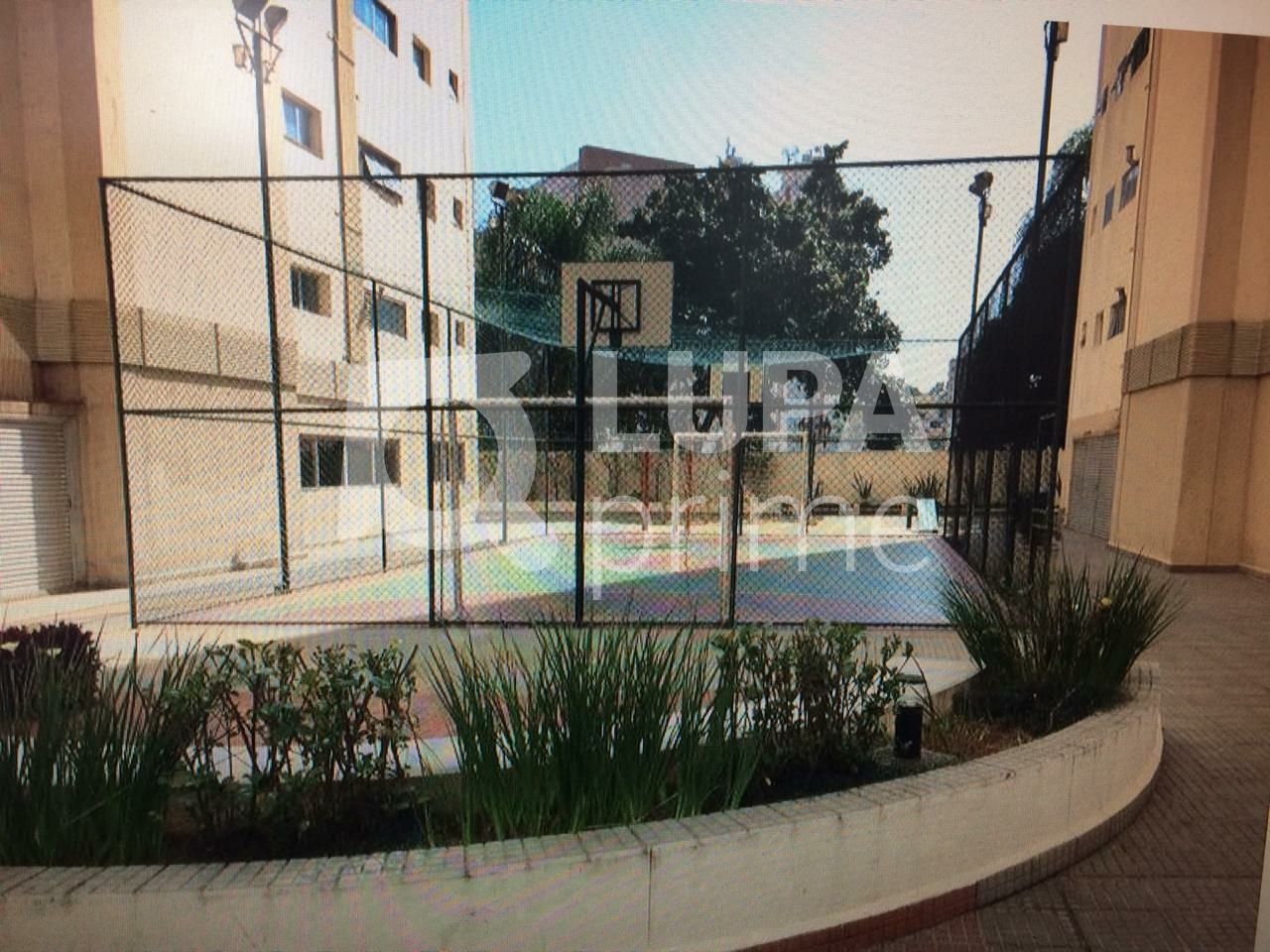 apartamento-venda-sao-paulo-vila-rica-4dormitorios-1suite-1vaga-105m2-LS41201