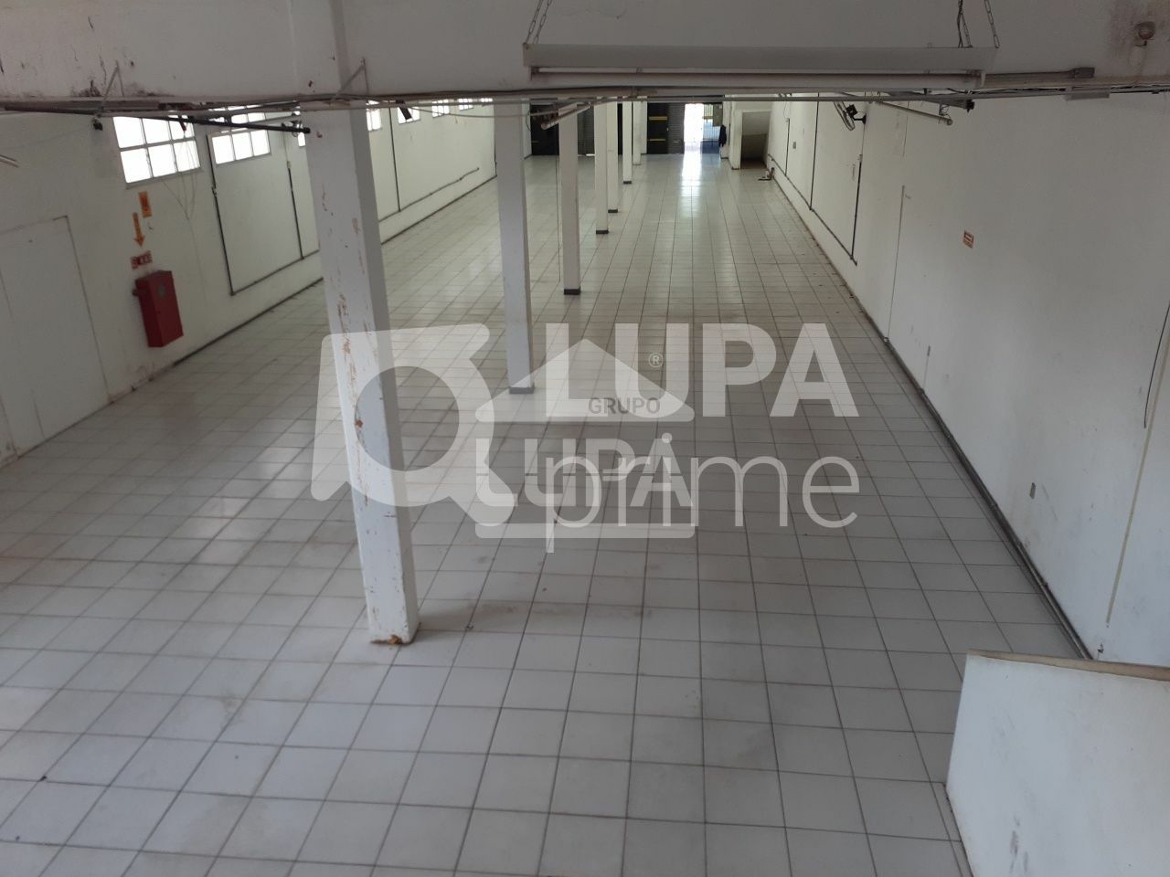 predio-venda-sao-paulo-tremembe-18vagas-1666m2-LS41211