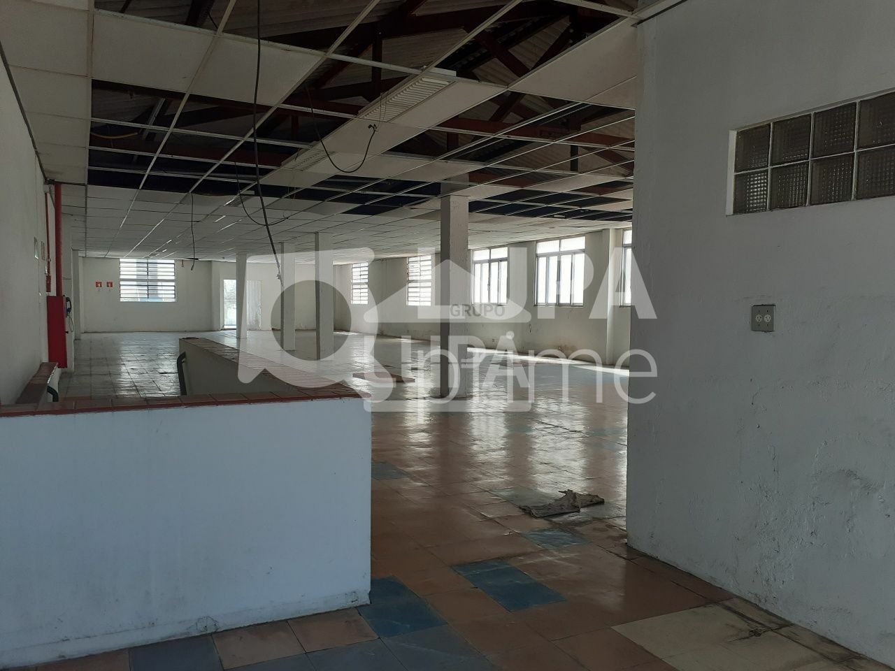 predio-venda-sao-paulo-tremembe-18vagas-1666m2-LS41211