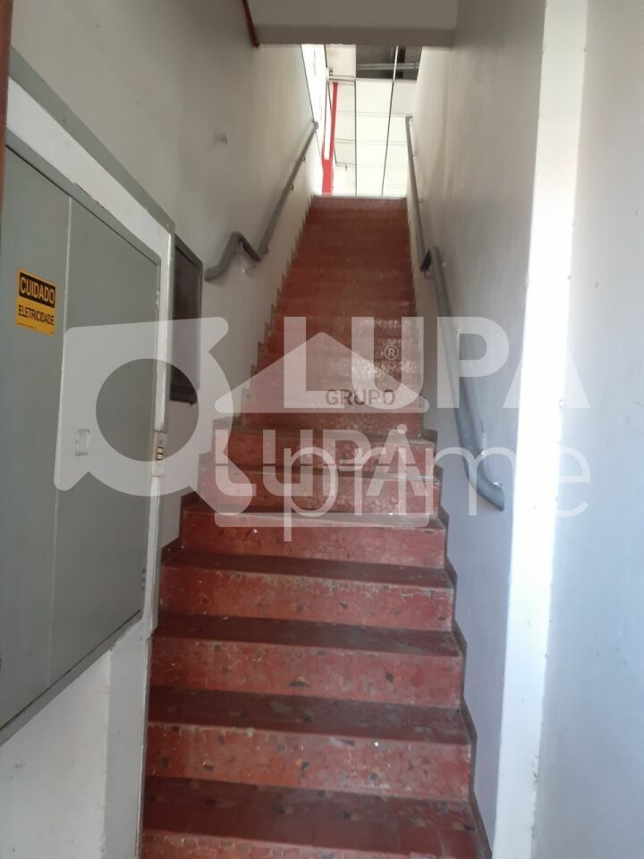 predio-venda-sao-paulo-tremembe-18vagas-1666m2-LS41211