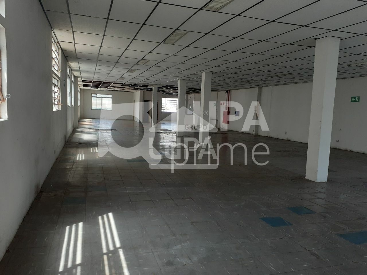 predio-venda-sao-paulo-tremembe-18vagas-1666m2-LS41211