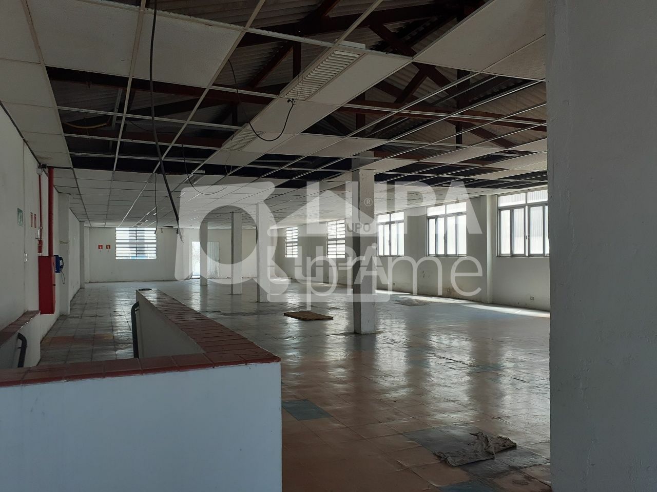 predio-venda-sao-paulo-tremembe-18vagas-1666m2-LS41211