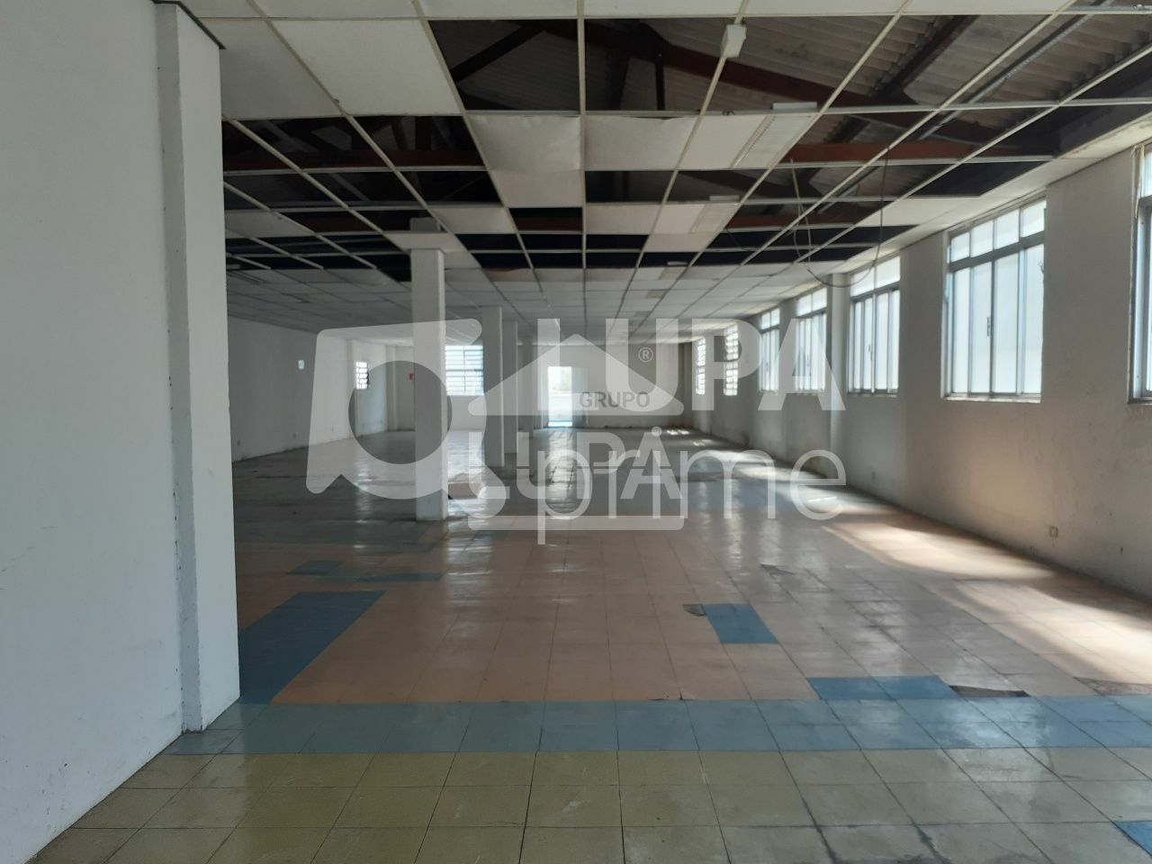 predio-venda-sao-paulo-tremembe-18vagas-1666m2-LS41211