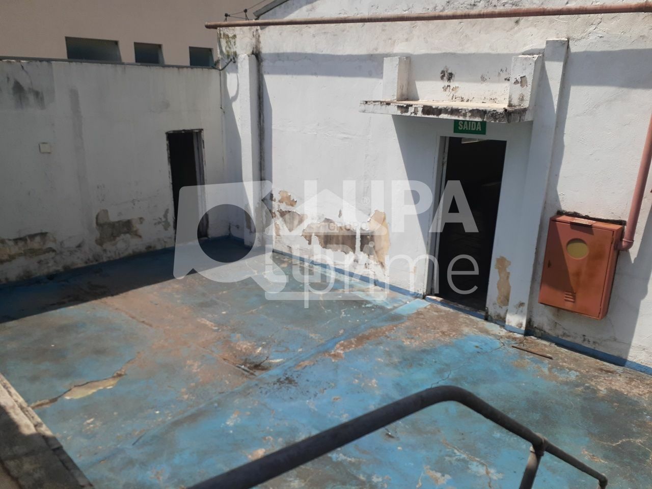 predio-venda-sao-paulo-tremembe-18vagas-1666m2-LS41211