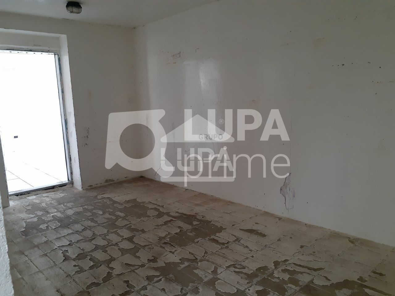 predio-venda-sao-paulo-tremembe-18vagas-1666m2-LS41211