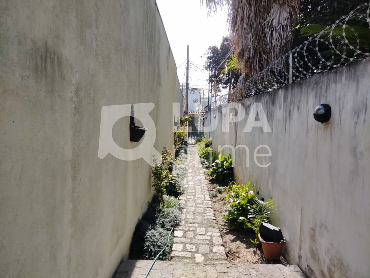 casa-terrea-venda-sao-paulo-vila-maria-baixa-2dormitorios-1vaga-55m2-LS41276