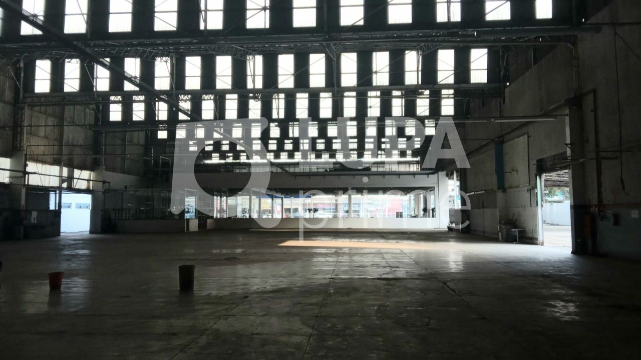 Depósito-Galpão, 8171 m² - Foto 7