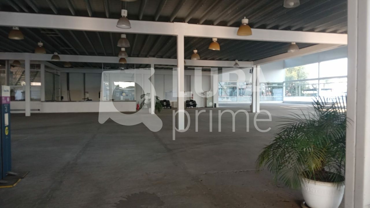 Depósito-Galpão, 8171 m² - Foto 10