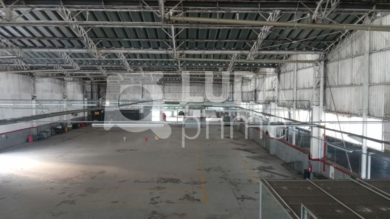 Depósito-Galpão, 8171 m² - Foto 3