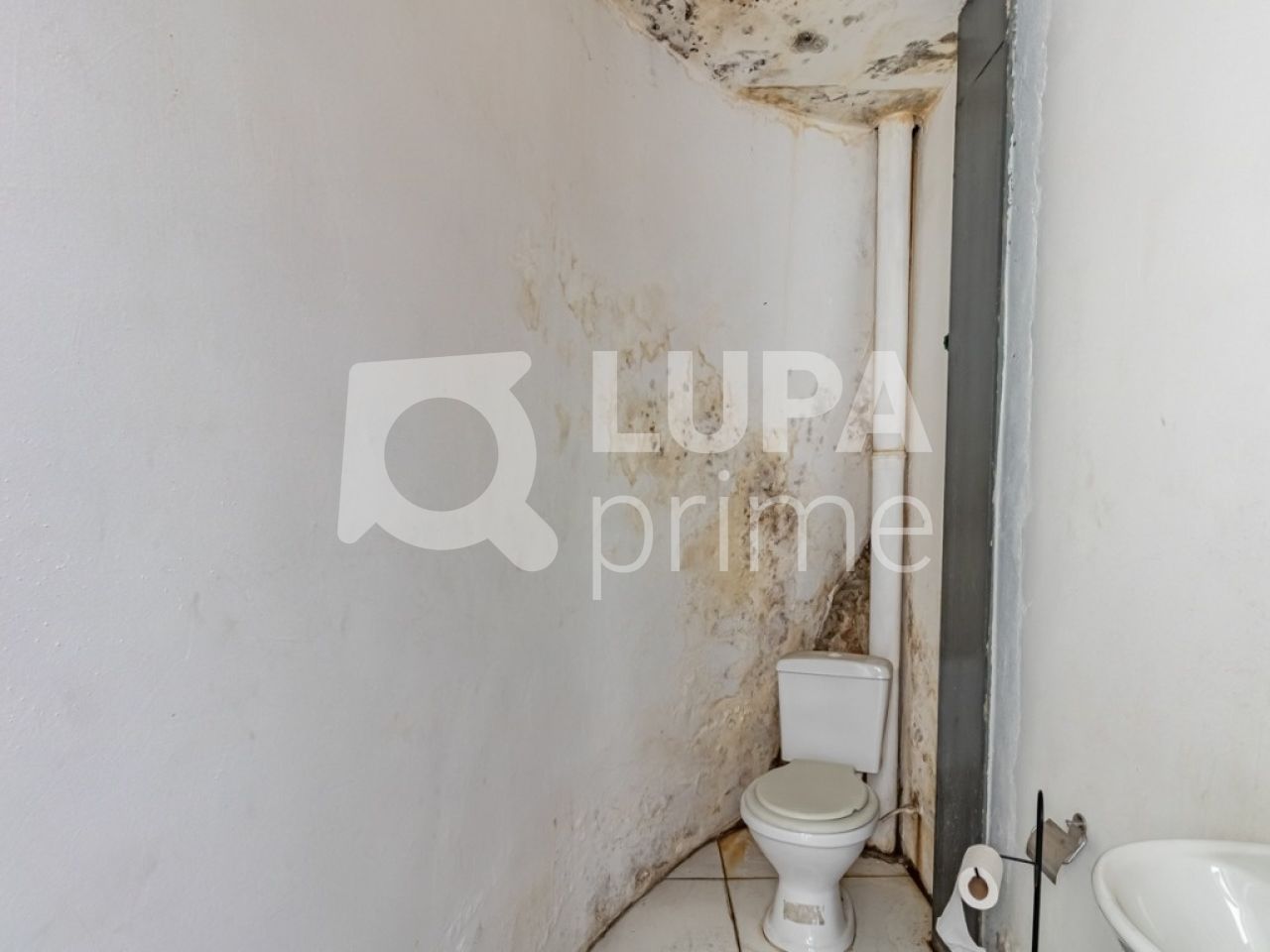 predio-locacao-sao-paulo-santana-5vagas-480m2-LS41353
