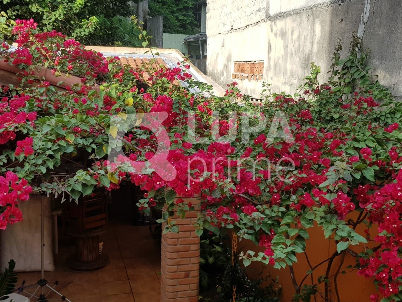 sobrado-venda-sao-paulo-tucuruvi-3dormitorios-1suite-2vagas-160m2-LS41408