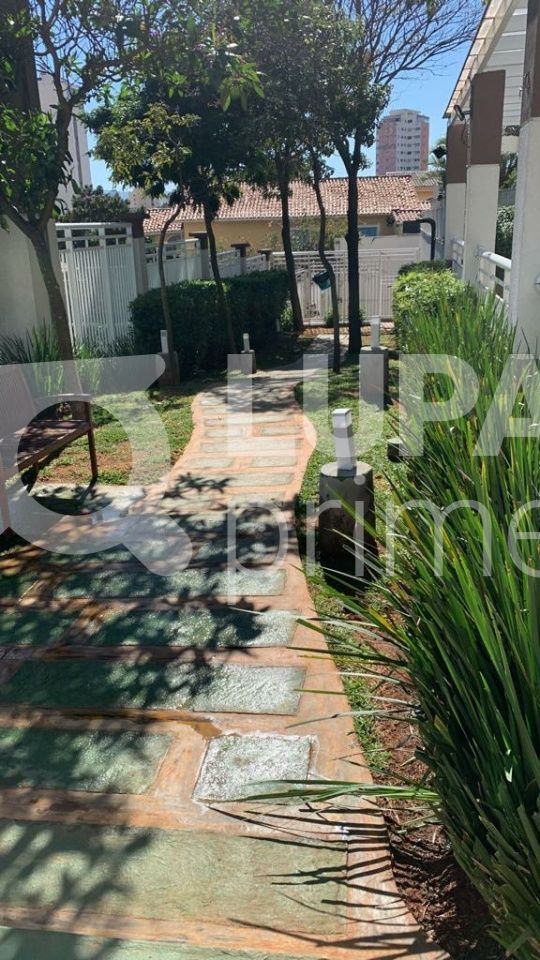 cobertura-venda-sao-paulo-vila-isolina-mazzei-3dormitorios-1suite-2vagas-103m2-LS41411