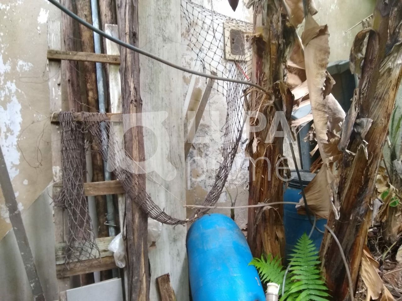 terreno-venda-sao-paulo-vila-ester-391m2-LS41450