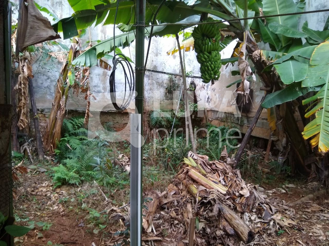 terreno-venda-sao-paulo-vila-ester-391m2-LS41450