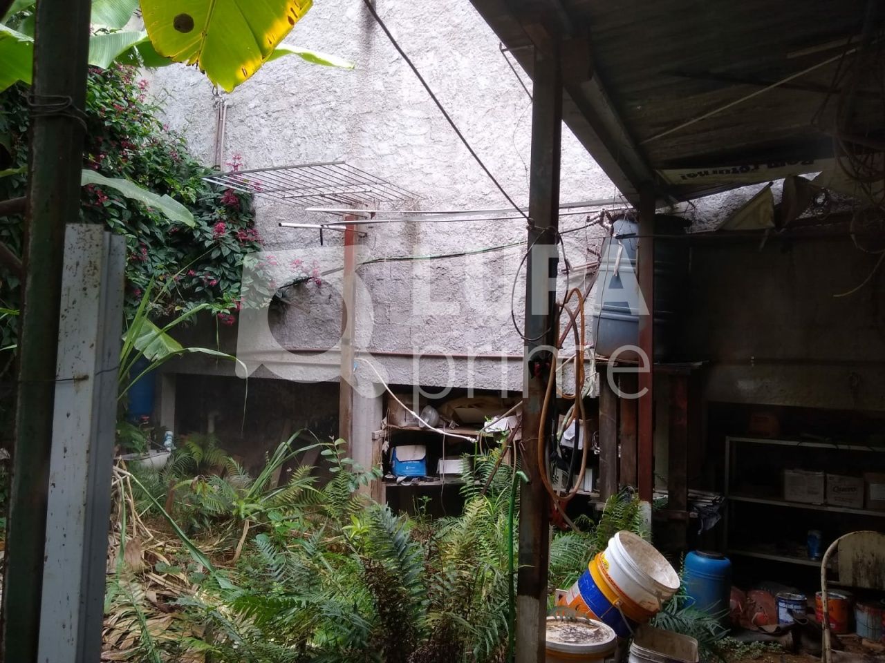 terreno-venda-sao-paulo-vila-ester-391m2-LS41450