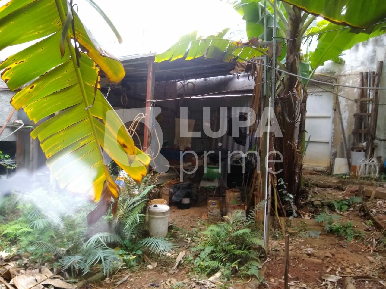 terreno-venda-sao-paulo-vila-ester-391m2-LS41450