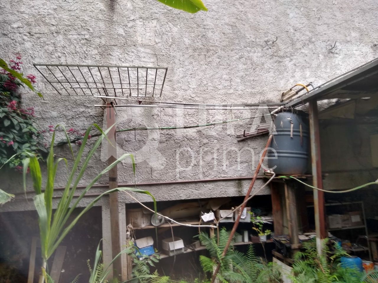 terreno-venda-sao-paulo-vila-ester-391m2-LS41450