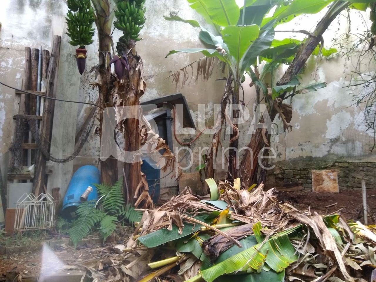 terreno-venda-sao-paulo-vila-ester-391m2-LS41450