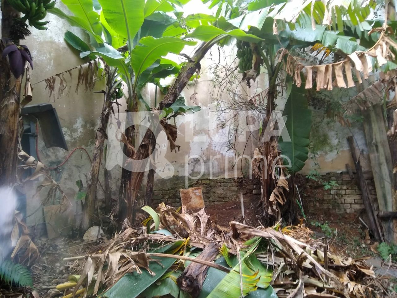 terreno-venda-sao-paulo-vila-ester-391m2-LS41450