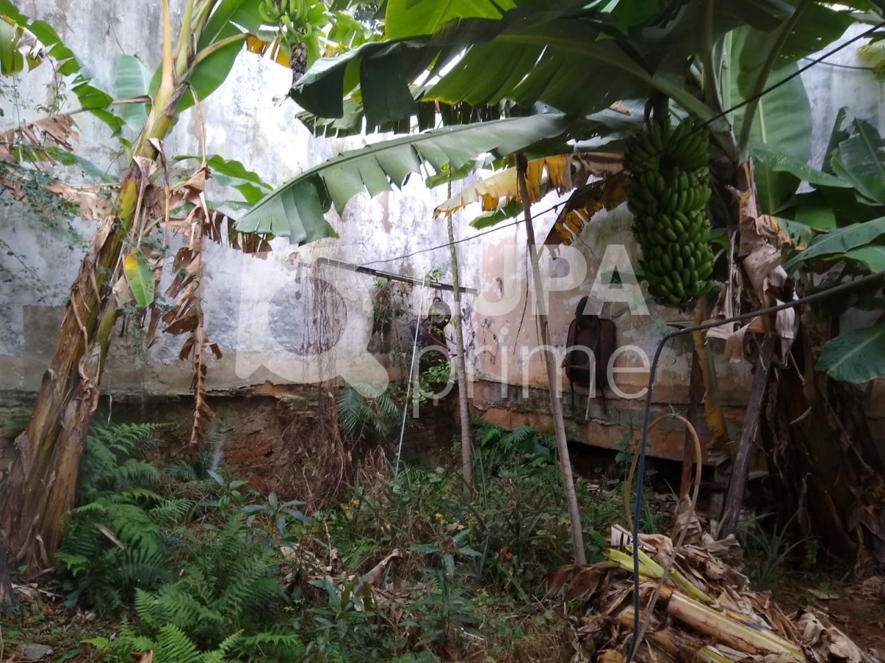 terreno-venda-sao-paulo-vila-ester-391m2-LS41450