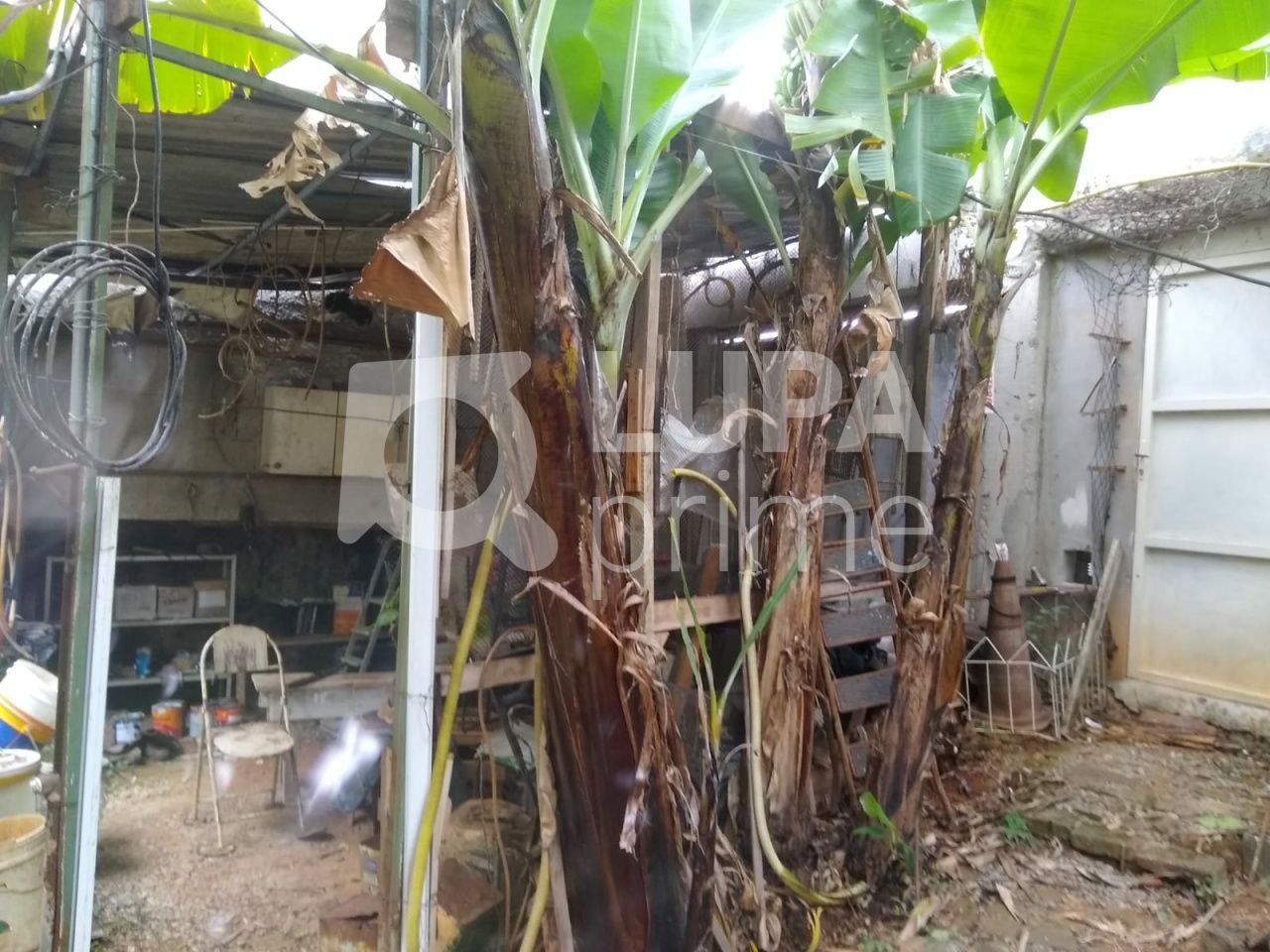 terreno-venda-sao-paulo-vila-ester-391m2-LS41450