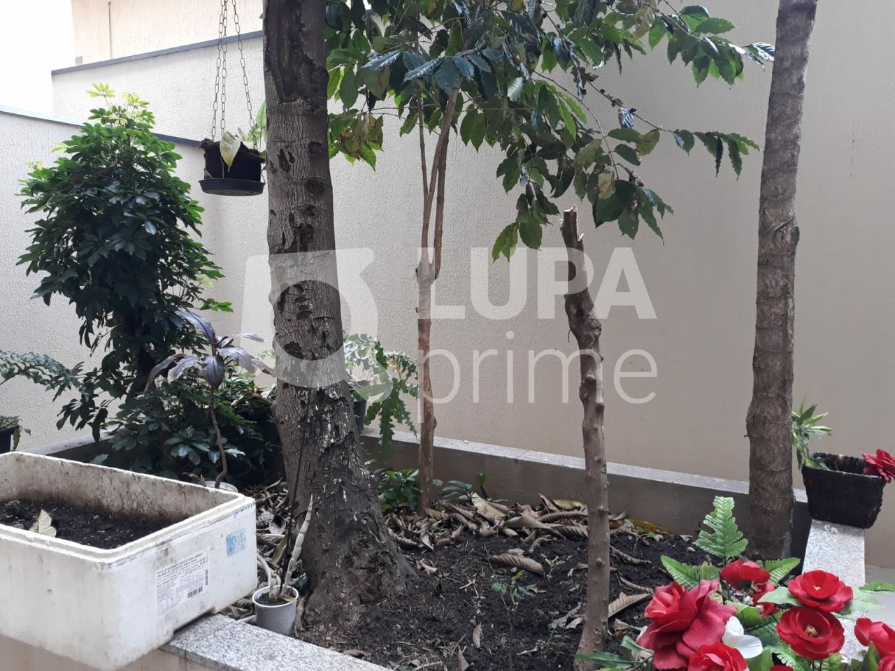 apartamento-venda-sao-paulo-tucuruvi-1dormitorio-38m2-LS41470