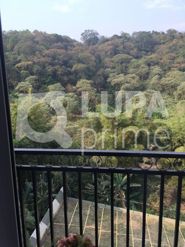 apartamento-venda-sao-paulo-tremembe-2dormitorios-1vaga-55m2-LS41489