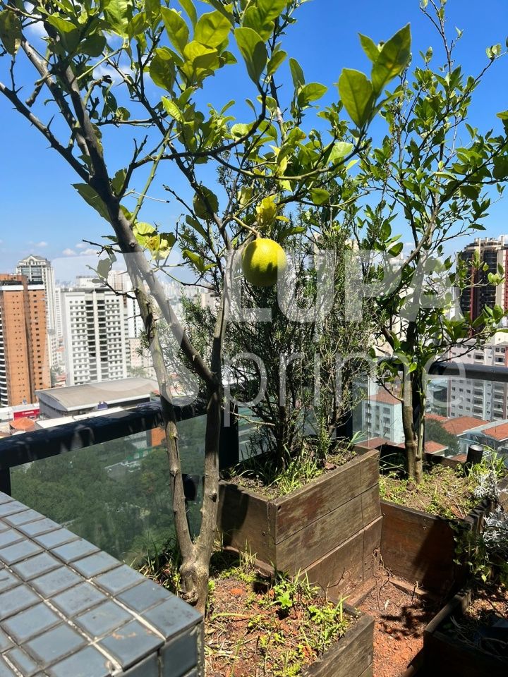 apartamento-venda-sao-paulo-santana-4dormitorios-4suites-4vagas-445m2-LS41523