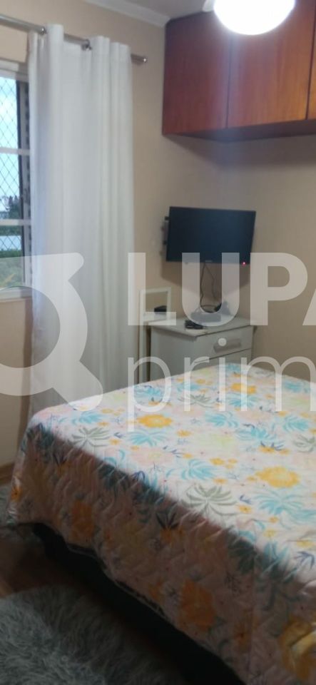apartamento-venda-sao-paulo-vila-constanca-3dormitorios-1suite-2vagas-147m2-LS41553