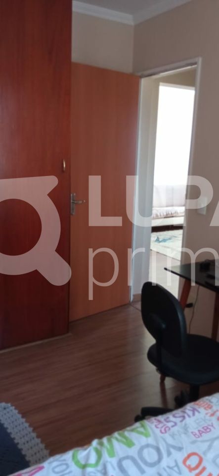 apartamento-venda-sao-paulo-vila-constanca-3dormitorios-1suite-2vagas-147m2-LS41553