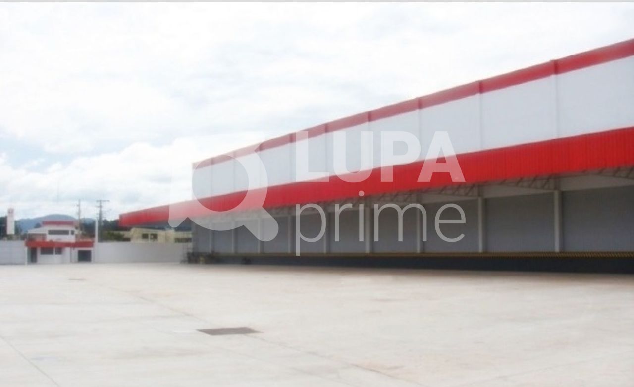 Depósito-Galpão, 8000 m² - Foto 1