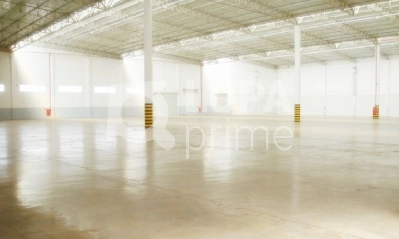 Depósito-Galpão, 8000 m² - Foto 3