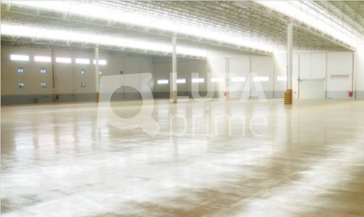 Depósito-Galpão, 8000 m² - Foto 6