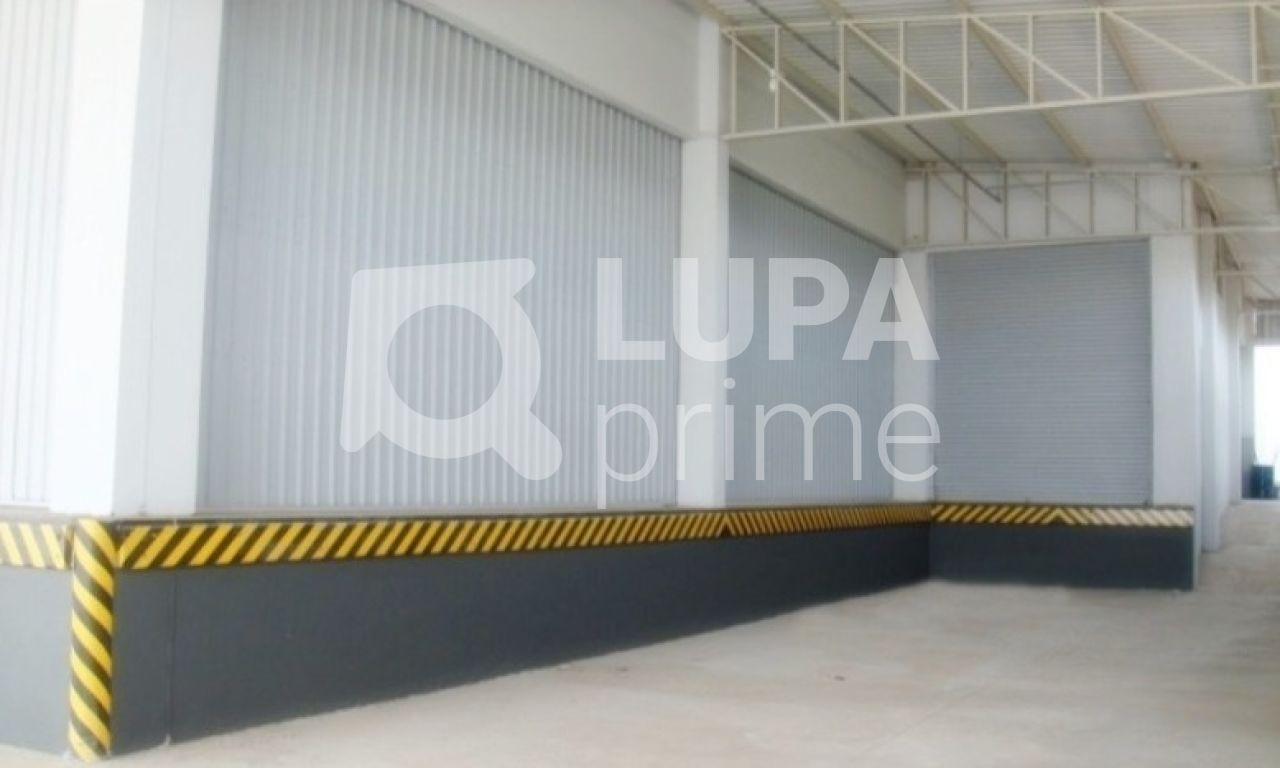 Depósito-Galpão, 8000 m² - Foto 4