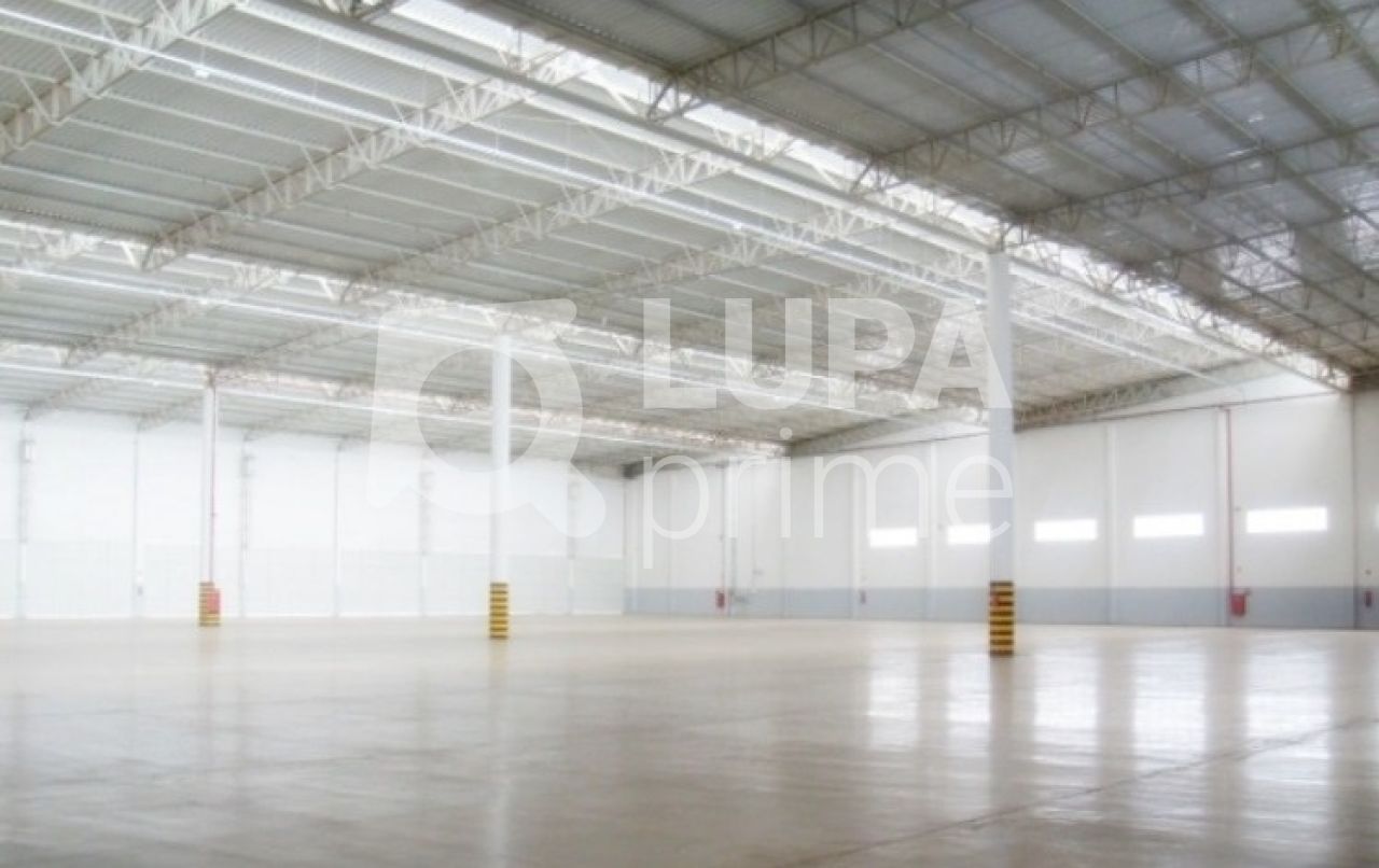 Depósito-Galpão, 8000 m² - Foto 7