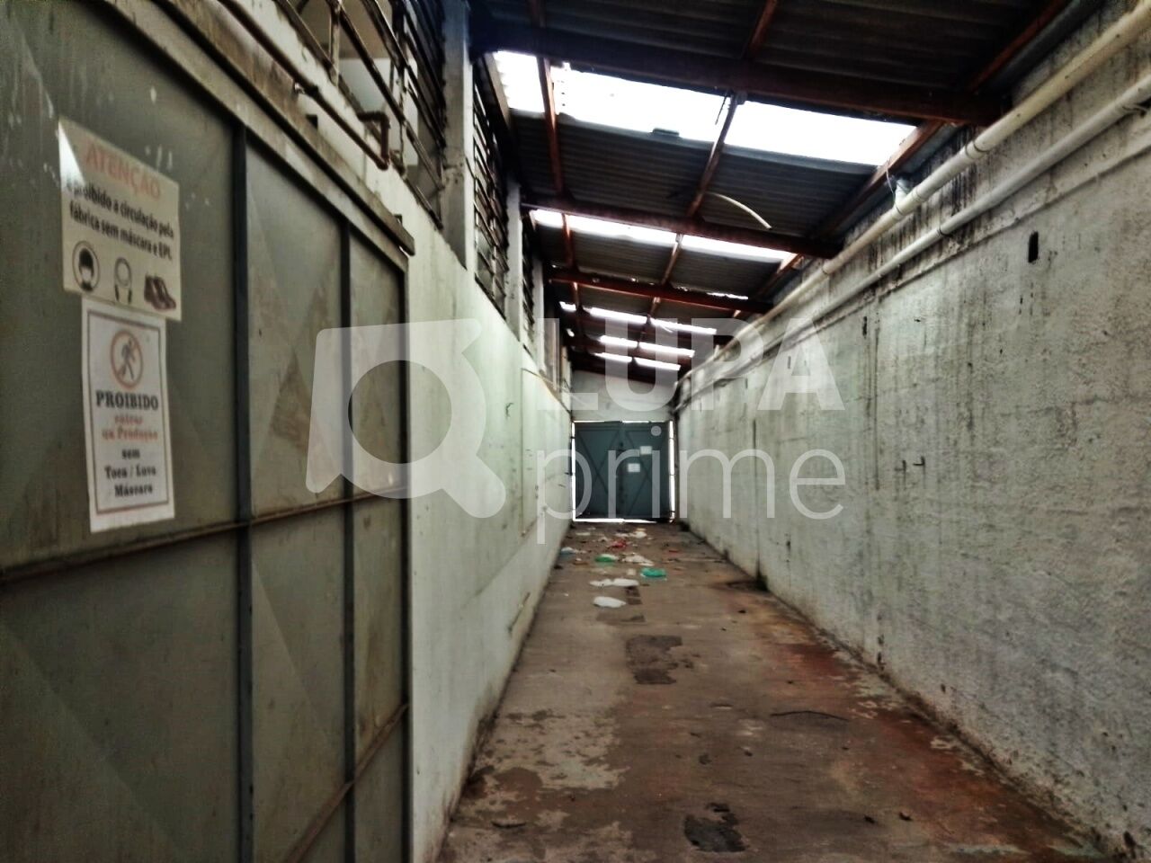 Depósito-Galpão, 1000 m² - Foto 3