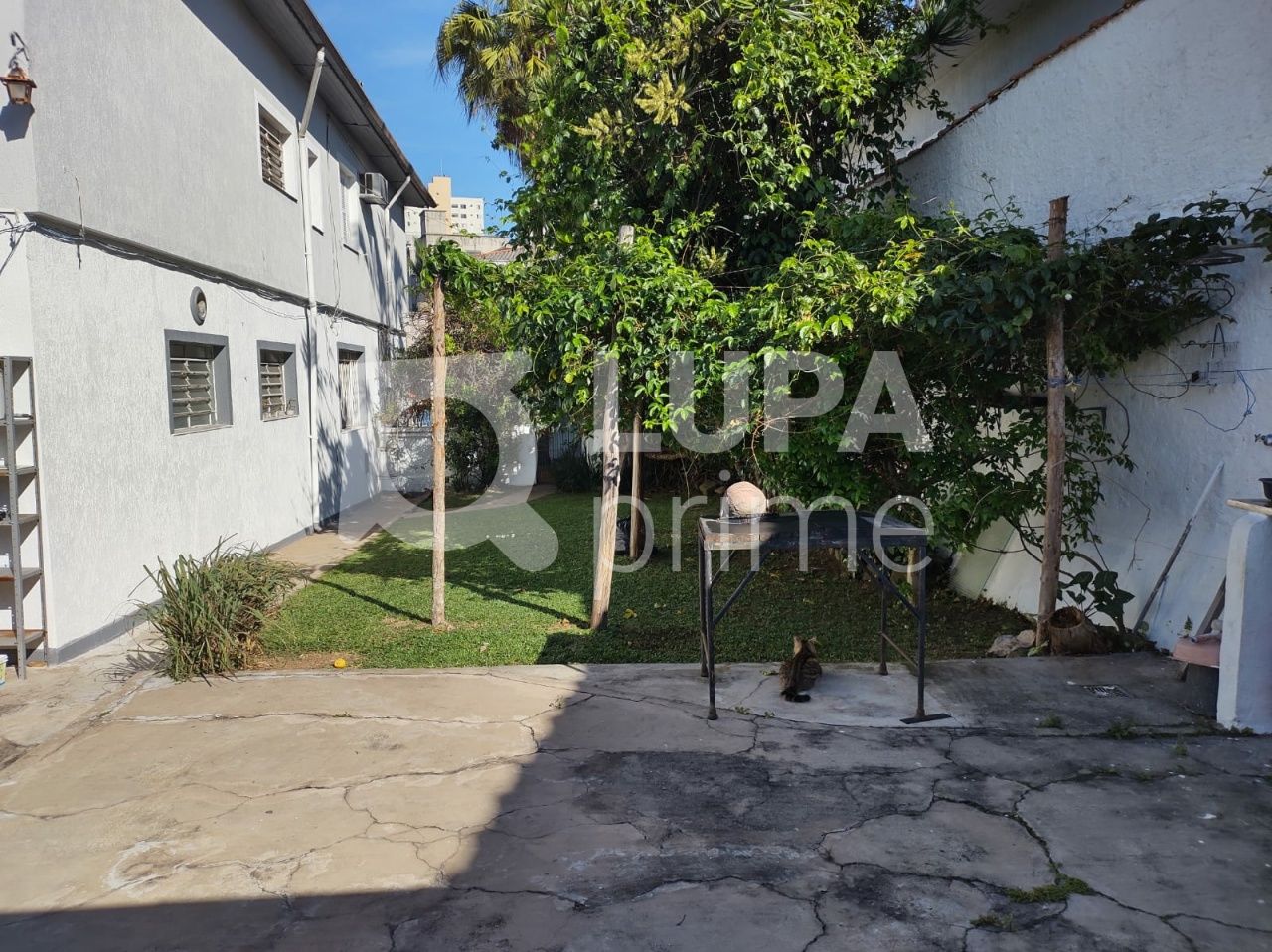 sobrado-venda-sao-paulo-jardim-floresta-3dormitorios-4vagas-220m2-LS41738