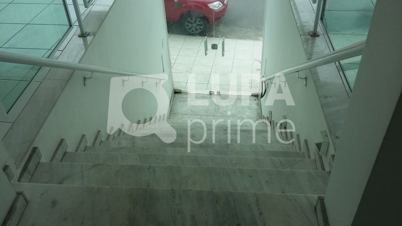 predio-locacao-sao-paulo-agua-fria-7vagas-380m2-LS41769